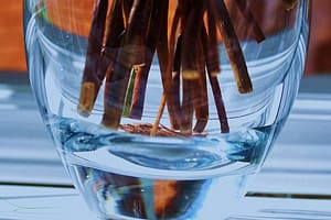 water